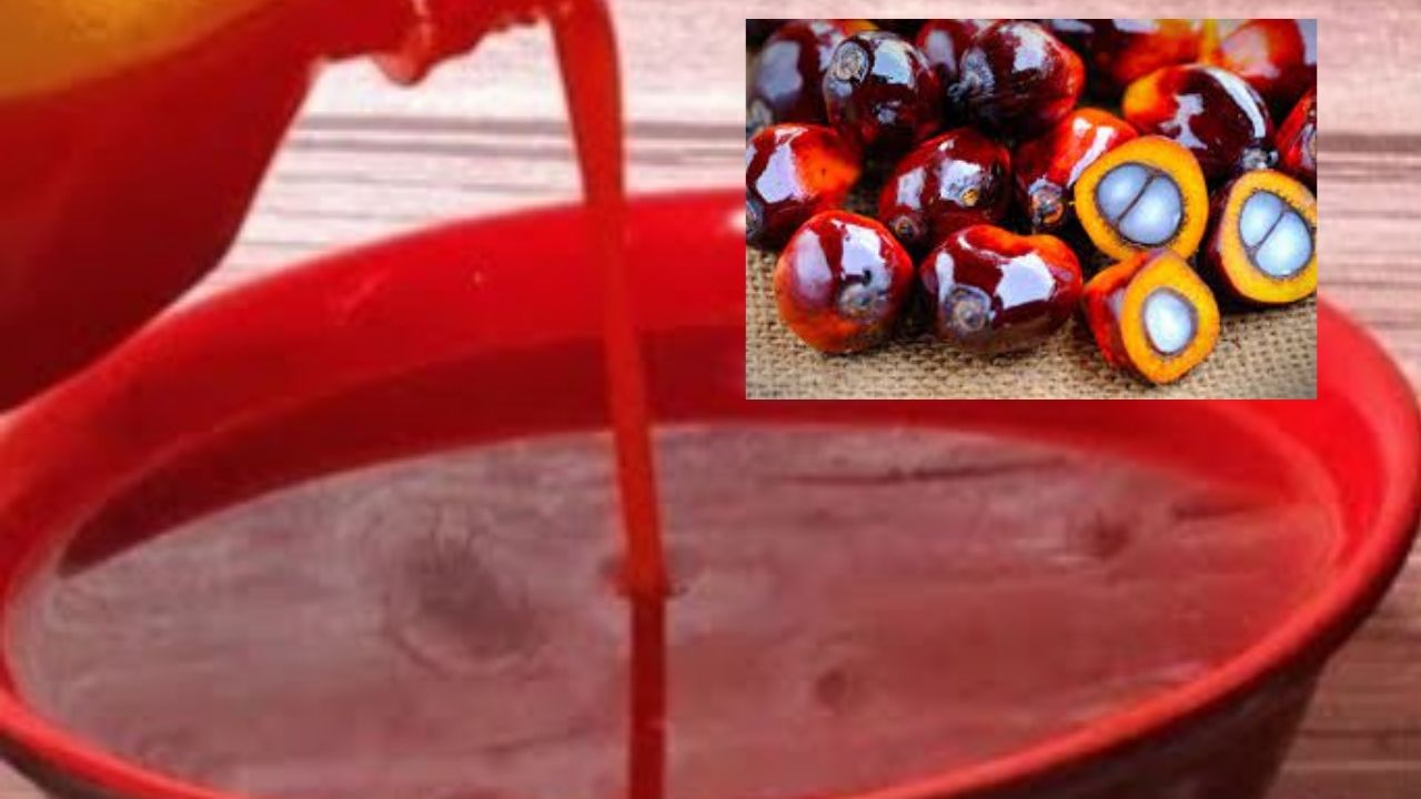 Palm Oil My Family Pride