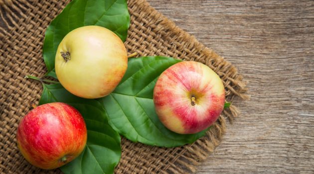 close up photo of red and yellow apple fruits on green leaves