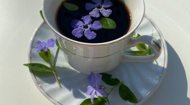 cup of coffee decorated with flowers with leaves on saucer