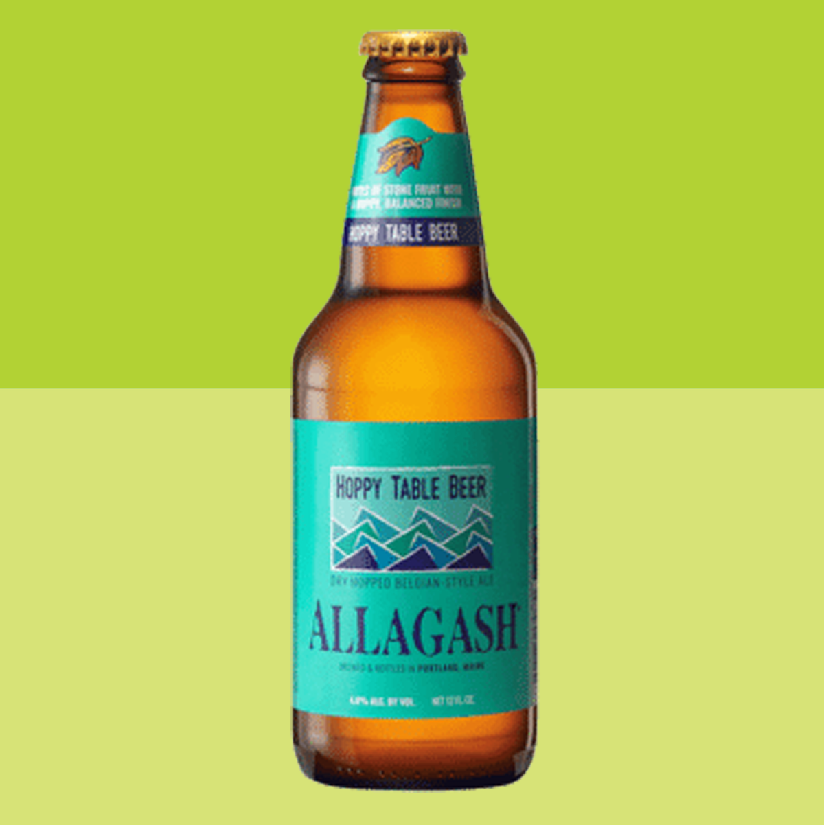 28 best low calorie beer options in 2024 My Family Pride